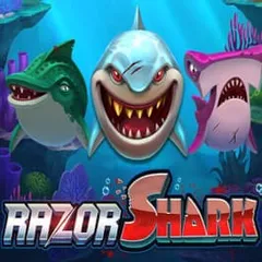 Razor Shark — play at 24 Casino