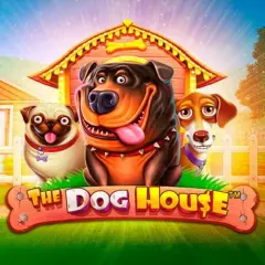 The Dog House — play at 24 Casino